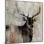 Wood Mount