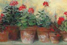 Kathleens Geraniums Crop-Carol Rowan-Art Print