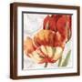 Brown Frame