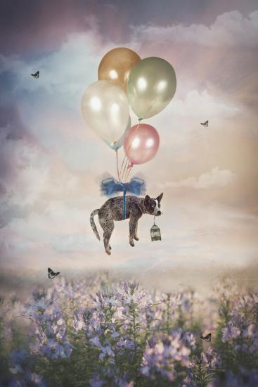 Photographic Print, , large