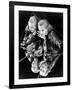 Carole Lombard, 1935-null-Framed Photographic Print