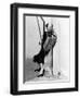 Carole Lombard-null-Framed Photographic Print