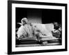 Carole Lombard-null-Framed Photographic Print