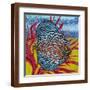 Brown Frame