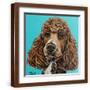 Brown Frame