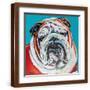 Brown Frame