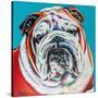 Stretched Canvas