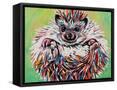 Framed Canvas