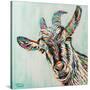 Stretched Canvas