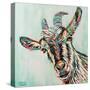 Stretched Canvas