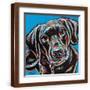 Brown Frame
