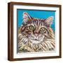 Brown Frame