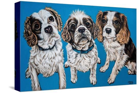 Stretched Canvas Print, , large