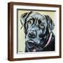 Brown Frame