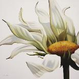 Smooth Lilies-Carolina Alotus-Giclee Print