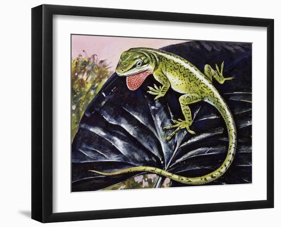 Carolina Anole or American Anole (Anolis Carolinensis), Dactyloidae-null-Framed Giclee Print