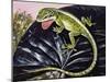 Carolina Anole or American Anole (Anolis Carolinensis), Dactyloidae-null-Mounted Giclee Print