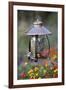 Carolina Chickadee and Northern Cardinal on Copper Lantern Feeder, IL-Richard and Susan Day-Framed Photographic Print