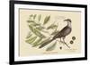 Carolina Cuckoo-Mark Catesby-Framed Art Print