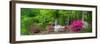 Carolina Garden-Gary Tognoni-Framed Photographic Print