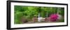 Carolina Garden-Gary Tognoni-Framed Photographic Print