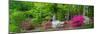 Carolina Garden-Gary Tognoni-Mounted Photographic Print