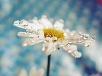 Female Youth Holding Pretend Flower-Carolina Hernández-Photographic Print