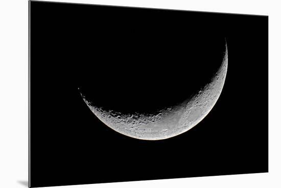 Carolina Moon-Edd Lange-Mounted Photographic Print