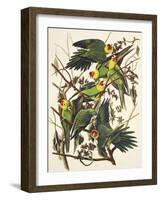 Carolina Parrot-John James Audubon-Framed Art Print