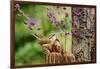 Carolina Wren-Gary Carter-Framed Photographic Print