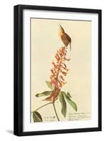 Carolina Wren-John James Audubon-Framed Art Print