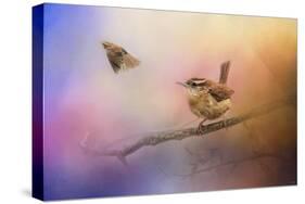 Carolina Wrens-Jai Johnson-Stretched Canvas