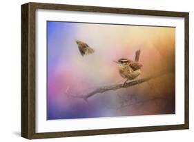 Carolina Wrens-Jai Johnson-Framed Giclee Print