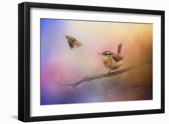 Carolina Wrens-Jai Johnson-Framed Giclee Print