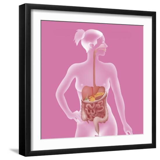 Premium Giclee Print, , large