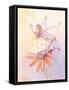 Caroline Dandelion-Robbin Rawlings-Framed Stretched Canvas