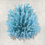 Shell Coral Silver on Blue IV-Caroline Kelly-Art Print