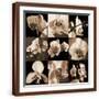 Brown Frame
