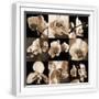 White Frame