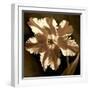 White Frame