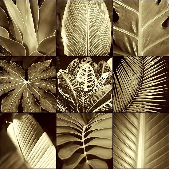 Photo, , large
