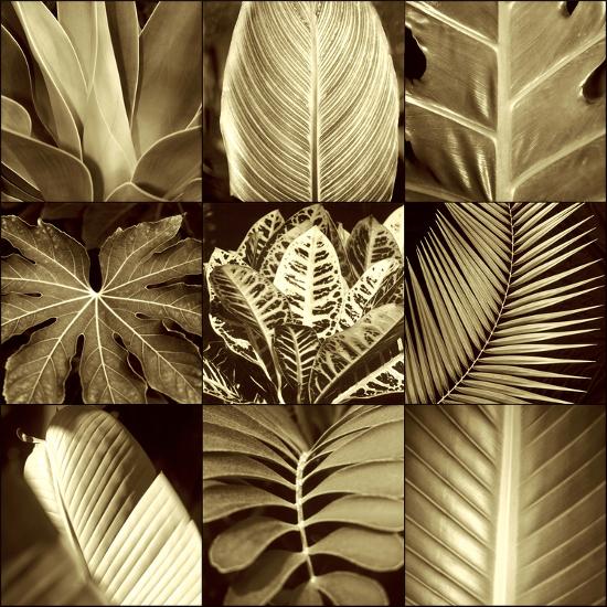 Photo, , large