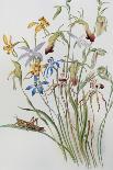 Iris and Blue Speedwell-Caroline Louisa Meredith-Giclee Print