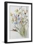 Black Frame