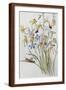 Brown Frame