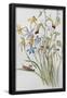 Essential Black