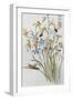 White Frame