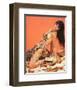 Caroline Munro - At the Earth's Core-null-Framed Photo