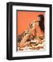 Caroline Munro - At the Earth's Core-null-Framed Photo