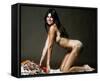 Caroline Munro-null-Framed Stretched Canvas